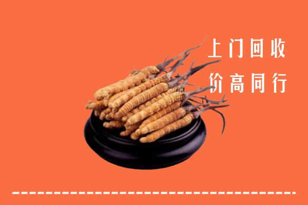 柳州市融水县回收散虫草