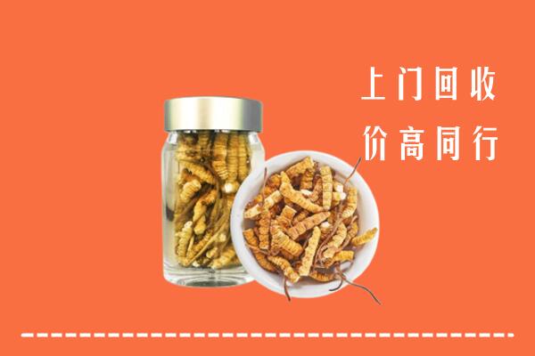 柳州市融水县回收冬虫夏草